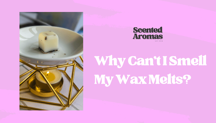 Why Can't I Smell My Wax Melts? 7 Ways to Make Your Home Smell Amazing - Scented Aromas