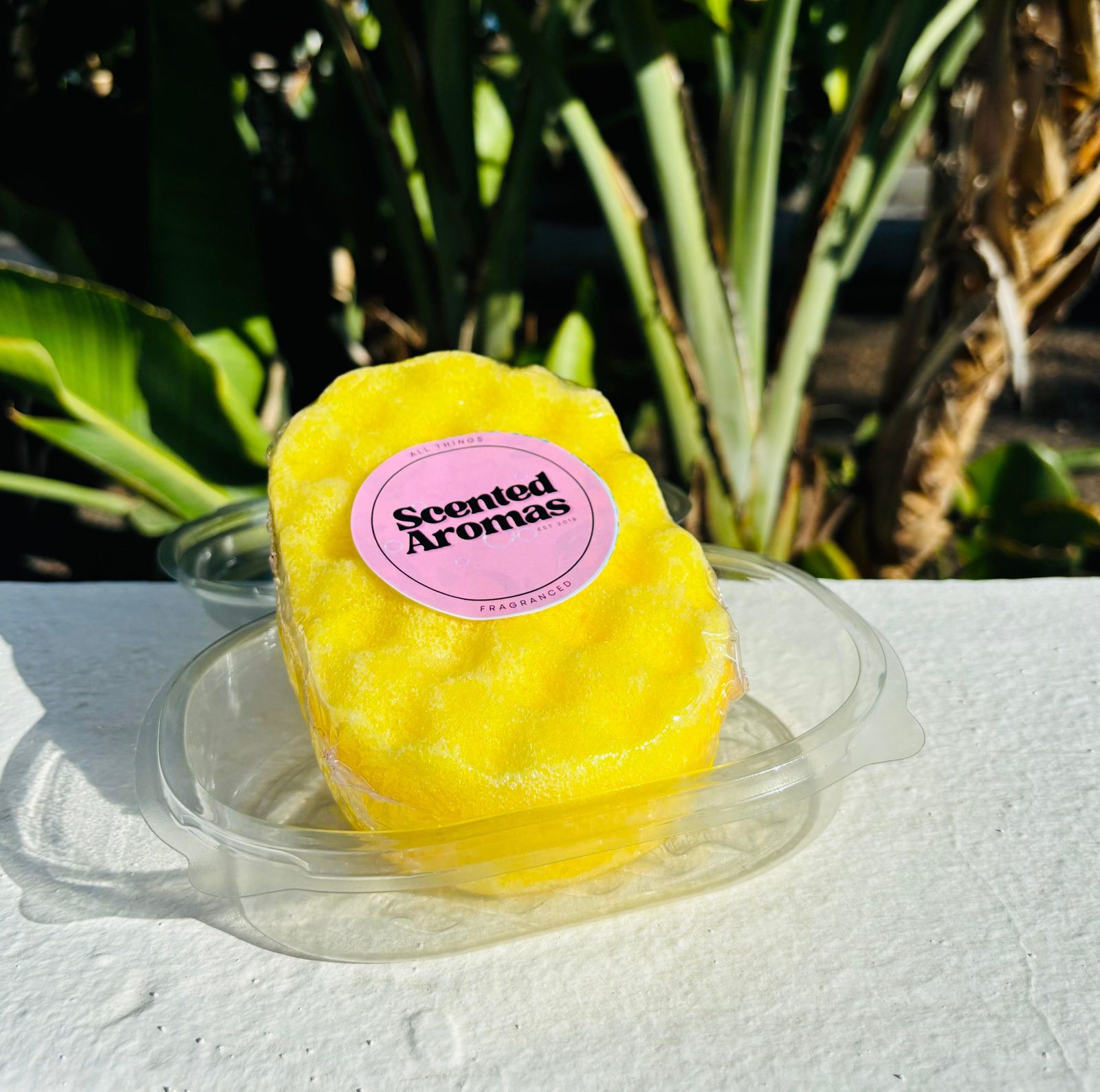 Citronella Soap Sponge - Natural Insect Repellent