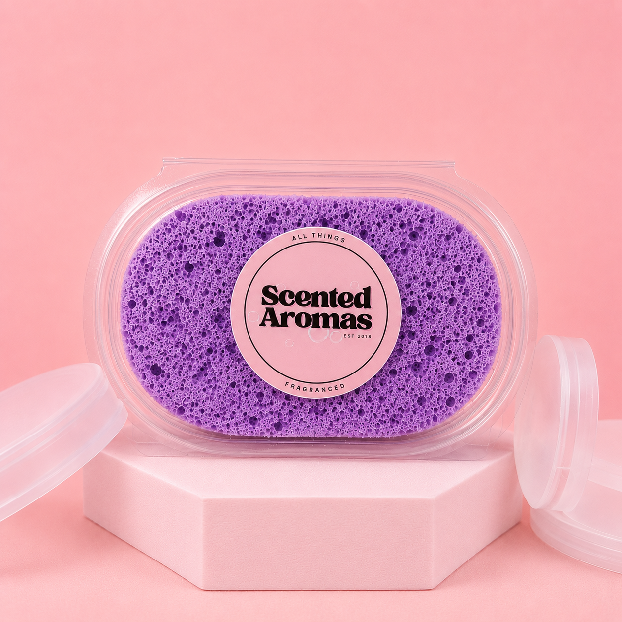 Black Plum & Rhubarb Exfoliating Soap Sponge